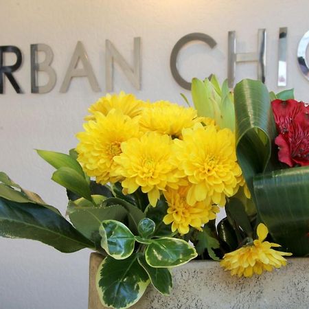 Urban Chic Boutique Hotel & Cafe Kapstaden Eksteriør billede